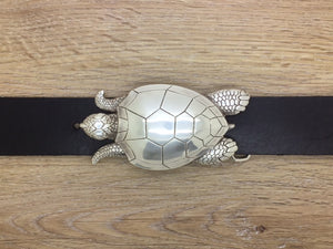 Schildkröte