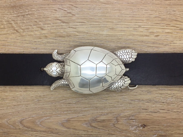 Schildkröte